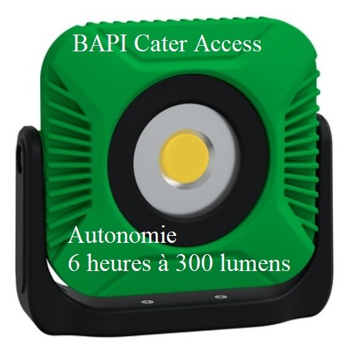 BAPI - BAES Schneider