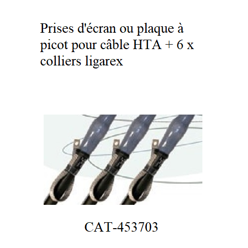 Prise d'écran + ligarex pour  CTS,CTKS, CWS, CGS Cellpack